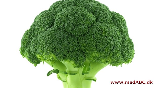 Denne opskrift på broccolisalat med kalkun og appelsin er let at lave og kan bruges som let frokostret, som hovedret eller som tilbehør. 