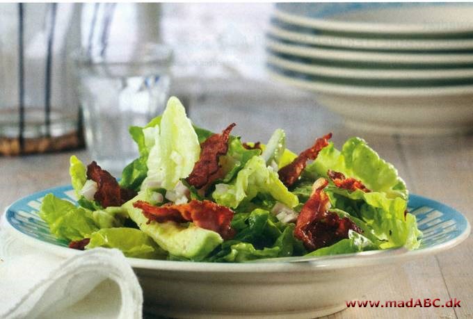 Salat med avocado og bacon