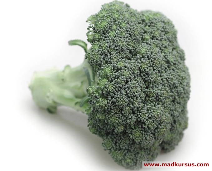 Sammenligne Tropisk galop Broccoli