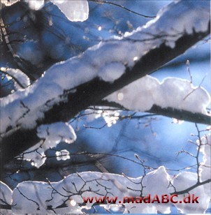 - Picnic - Vinter