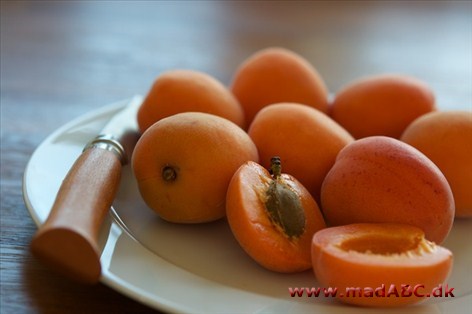 Abrikoser under sabayonnedække Abrikoser under sabayonnedække er en meget smagsfuld og delikat dessert, som skal nydes varm.