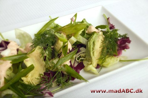 Avocado i frisk salat Let, sprød og frisk forret fyldt med avocadosmag