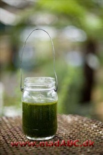 Basilikumolie Denne olie /dressing-marinade er dejlig let at lave og kan for eksempel bruges til pizza, pasta eller salater. Den skal dog laves i god tid inden brug da olien skal trække i cirka to uger.