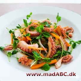 Blæksprutte salat Prøv denne spændende salat med blandt andet blæksprutte og chili som tilbehør eller for eksempel som let frokostanretning med brød. Retten skal laves i god tid, og gerne dagen før.
