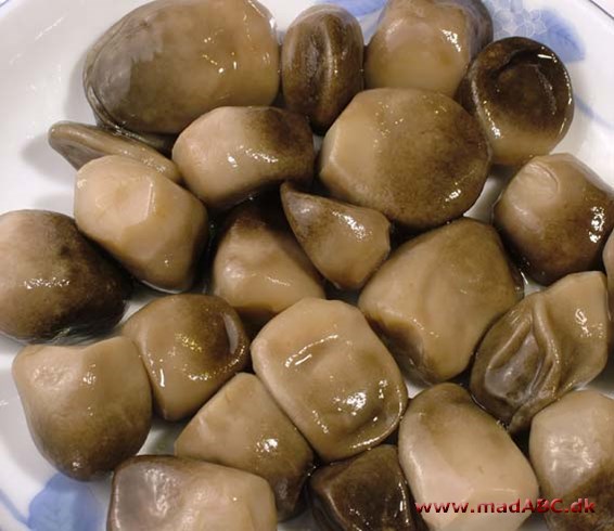Braiserede stråsvampe med soyasauce Hvis du er træt af at serverer fisk og skaldyr i diverse afskygninger til forret så ser her: braiserede svampe i soyasauce. Retten er let at lave med få ingredienser. Let men lækker forret.