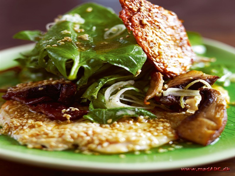 Carpaccio af kylling med sesamsmør, feldsalat og svampe Til en let frokost og grønt er godt for øjnene