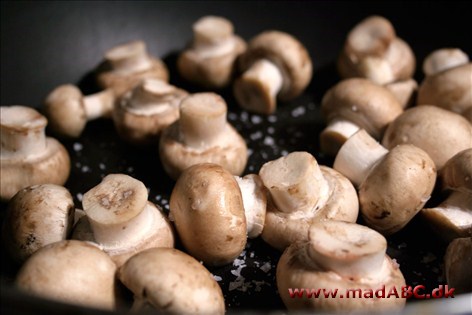 Champignon og brødsalat - diabetiker Spis noget let i aften