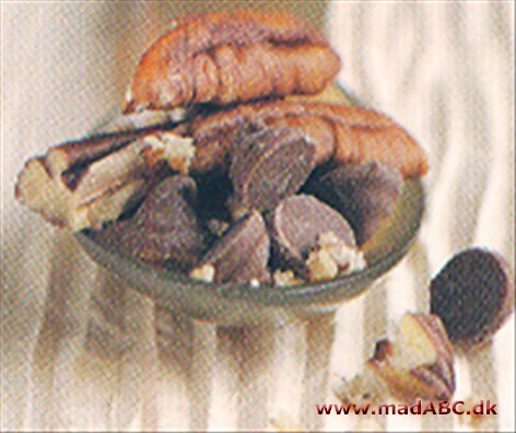 Chokolade brownies cupcakes Chokolade brownies cupcakes