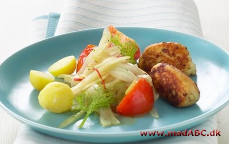 Fiskefrikadeller med lun fennikelsalat Fiskefrikadeller med lun fennikelsalat