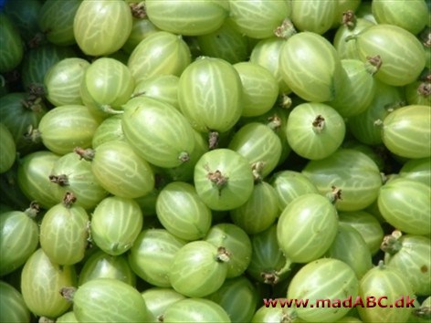 Gooseberry jelly Gooseberry jelly