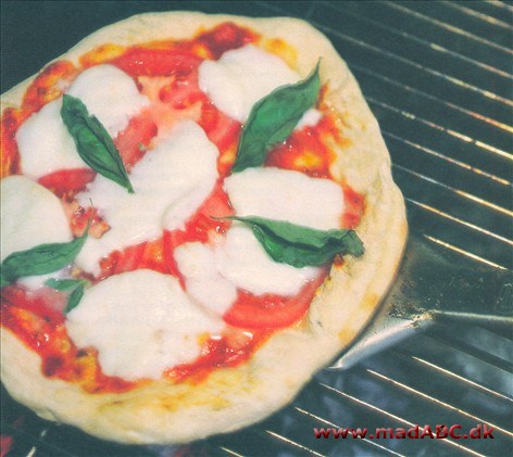Grillet Pizza Margherita