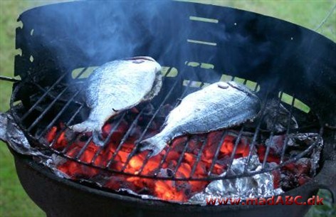 Grillet rødspætte Grillet rødspætte