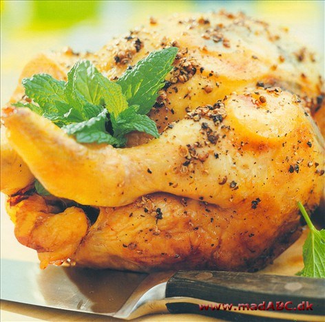 Helstegt kylling med citronmelisse eller mynte