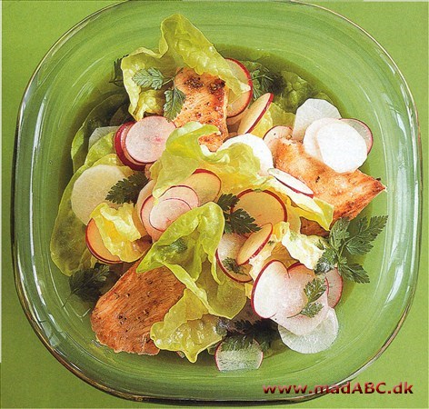 Kalkunsalat med radiser En hurtig, nem og forfriskende ret: mørt kalkunkød med hovedsalat, ræddike og radiser