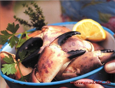 Kogte krabbekløer med aioli