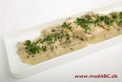 Kylling med cremet champignonsauce Kylling med cremet champignonsauce