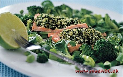 Laks på salat Laks på salat