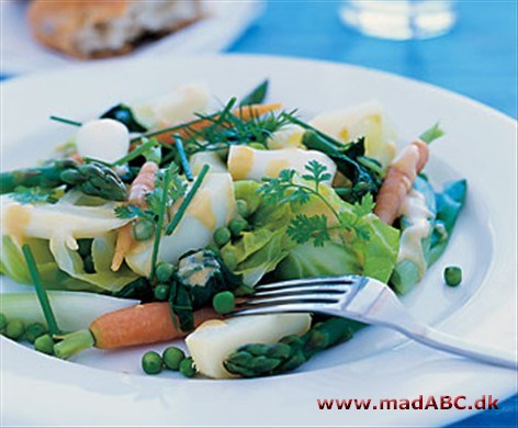 Macedoinesalat