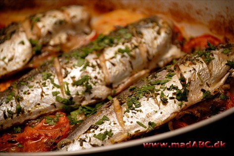 Makreller bagt med coulis af rød peber Makrellen er en sund fisk med et højt indhold af B-vitaminer og omega-3-fedtsyrer. I denne opskift bliver fisken bagt i ovn med en coulis, der laves af røde pebberfrugter.