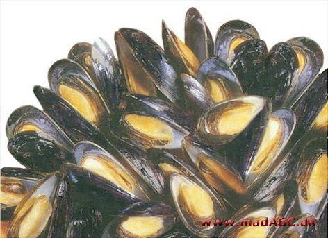 Mangold kendes måske bedre under navnet bladbede eller sølvbede. Her bruges grøntsagen i en muslingesalat med hvide bønner og hvidløg. Server gerne salaten med flûte eller mørkt rugbrød. 