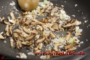 Omelet med Shii-take Denne omelet er en nem og hurtig frokostret. Den laves med shii-take svampe, bacon og purløg, men dine yndlingsingredienser kan nem tilføjes. Andre svampe kan selvfølgelig også bruges.