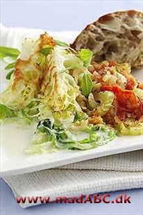 Ostegratineret spidskål og selleri og tomatragout Ostegratineret spidskål og selleri og tomatragout
