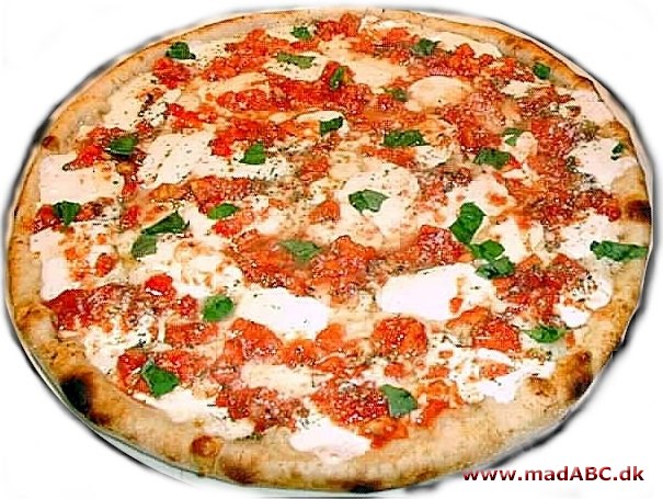 Pizza Margherita