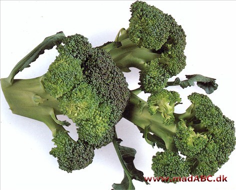 Broccoli er en populær grønsag. Den er nem at tilberede og smager godt. Spis noget let i aften