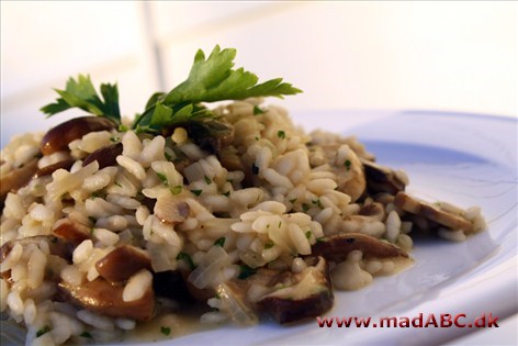 Prøv denne opskrift på risotto med champignoner, perfekt som lækker aftensmad eller frokost. Server risottoen med flute og en lille salat. 