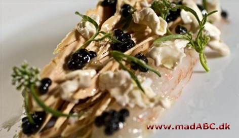 Rå foie gras med rå jomfruhummer, kaviar og valnødder