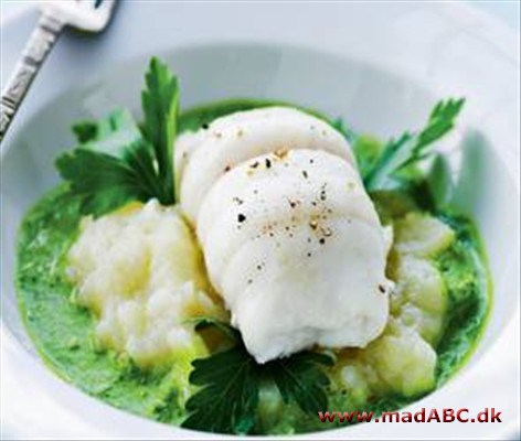 Rødtunge med østers-persillesauce Rødtungen bliver til skønt hvidt fiskekød, så frem med tungen ... og dyp den i saucen, ahhh