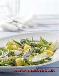 Salat med kartofler og marinerede sild Salat med kartofler og marinerede sild