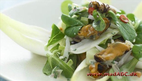 Salat med muslinger, skindstegt torsk og hindbærcoulis