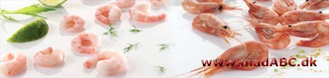 Shrimps