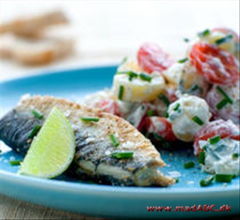 Sild med sommersalat Sild med sommersalat