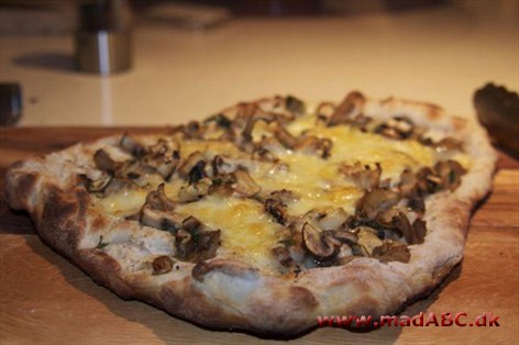 Svampe-pizza Svampe-pizza