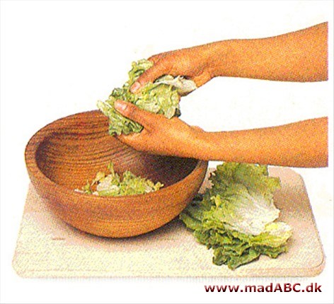 Tips: Tilberedning af salat Tips: Tilberedning af salat