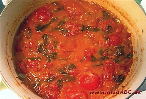 Tomatsuppe med broccoli + Græsk lammeragout