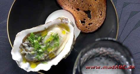 Østers med citron, persille og rugbrødsflager Østers med citron, persille og rugbrødsflager