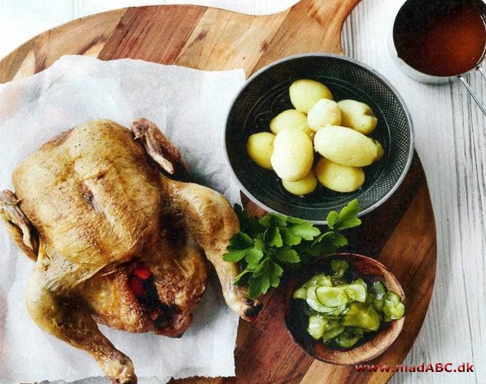 Kylling Danoise med skysauce og agurkesalat