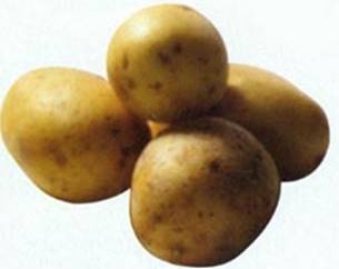 Nye kartofler med ærter og purløg