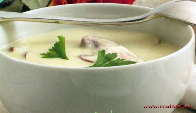 Champignonsuppe