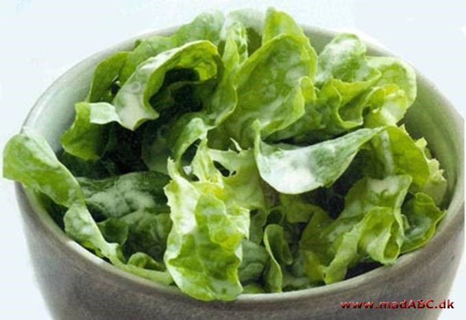 Grøn salat med flødedressing