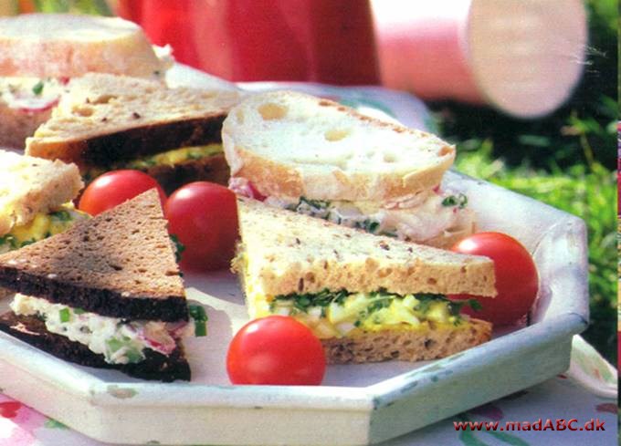 Sandwich til picnic, skov eller strand