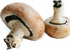 Kalvefrikassé med svampe og persille