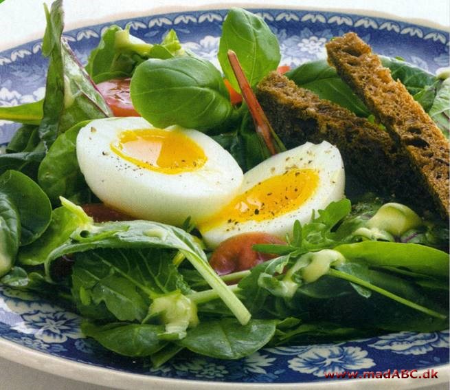 Salat med æg og rugbrød