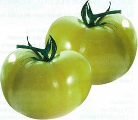 Stegte grønne tomater