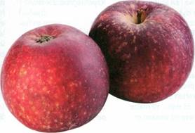 Æblegrød med æblechips
