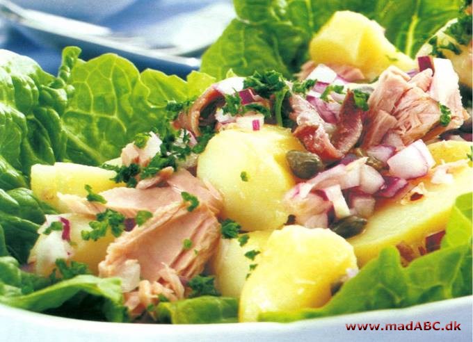 Kartoffelsalat med tunfisk