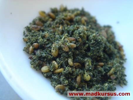 Zaatar